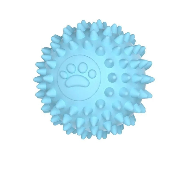 Dog playing fetch with the rubber training ball