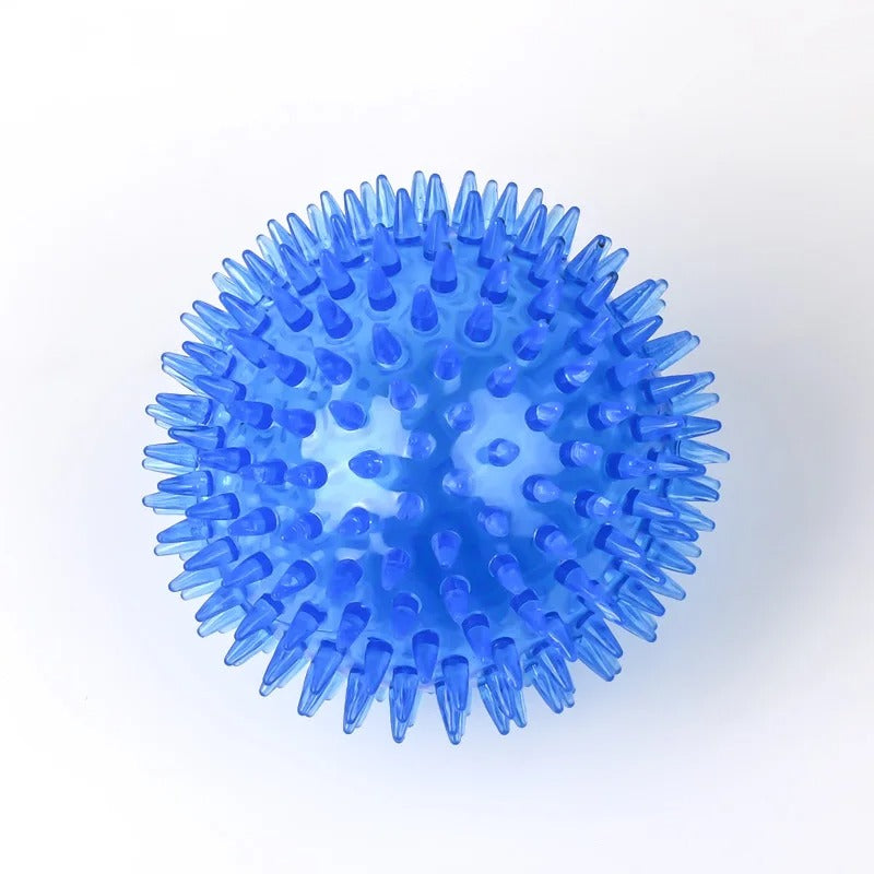 Dog chewing a spiky ball toy