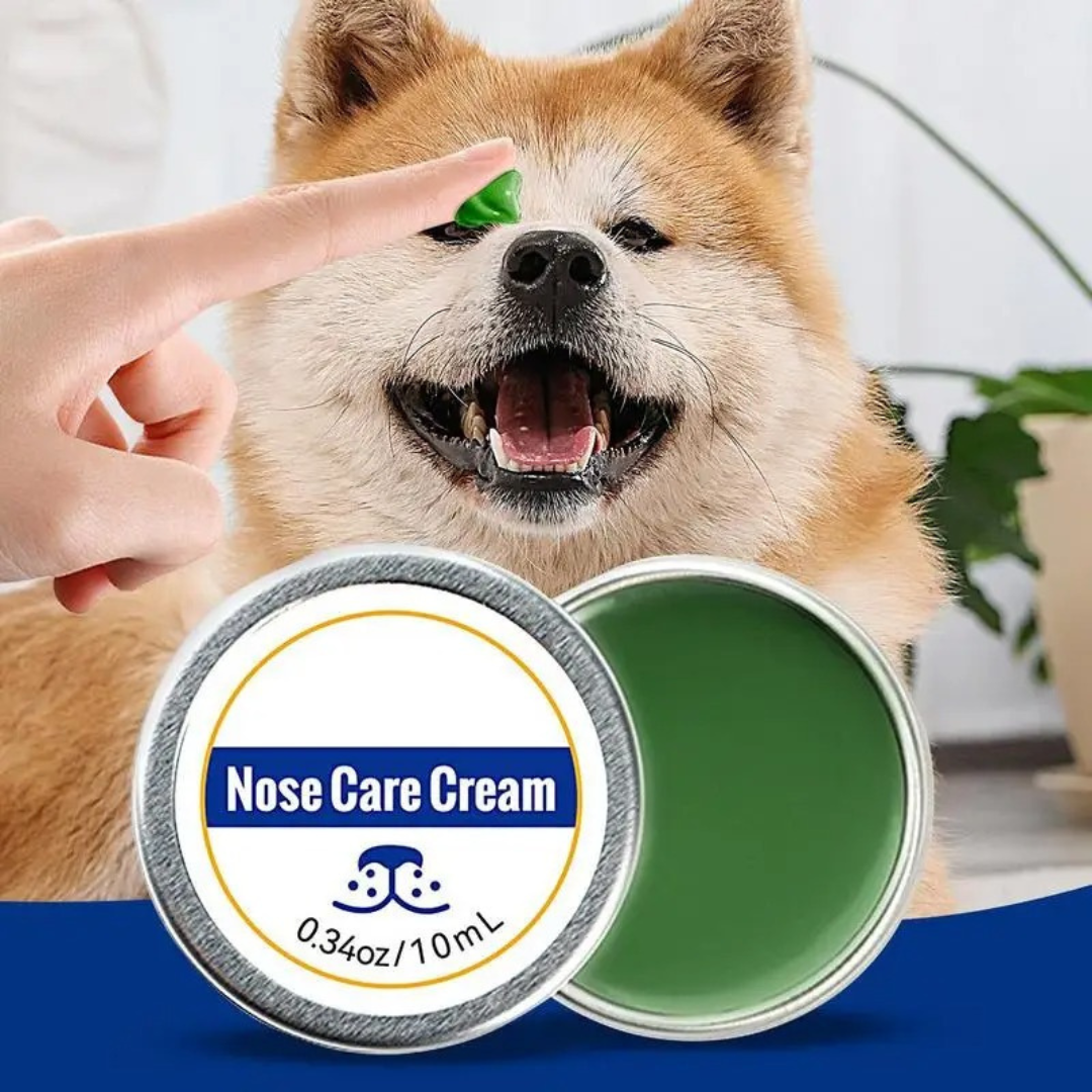 Care and protection cream for dog noses