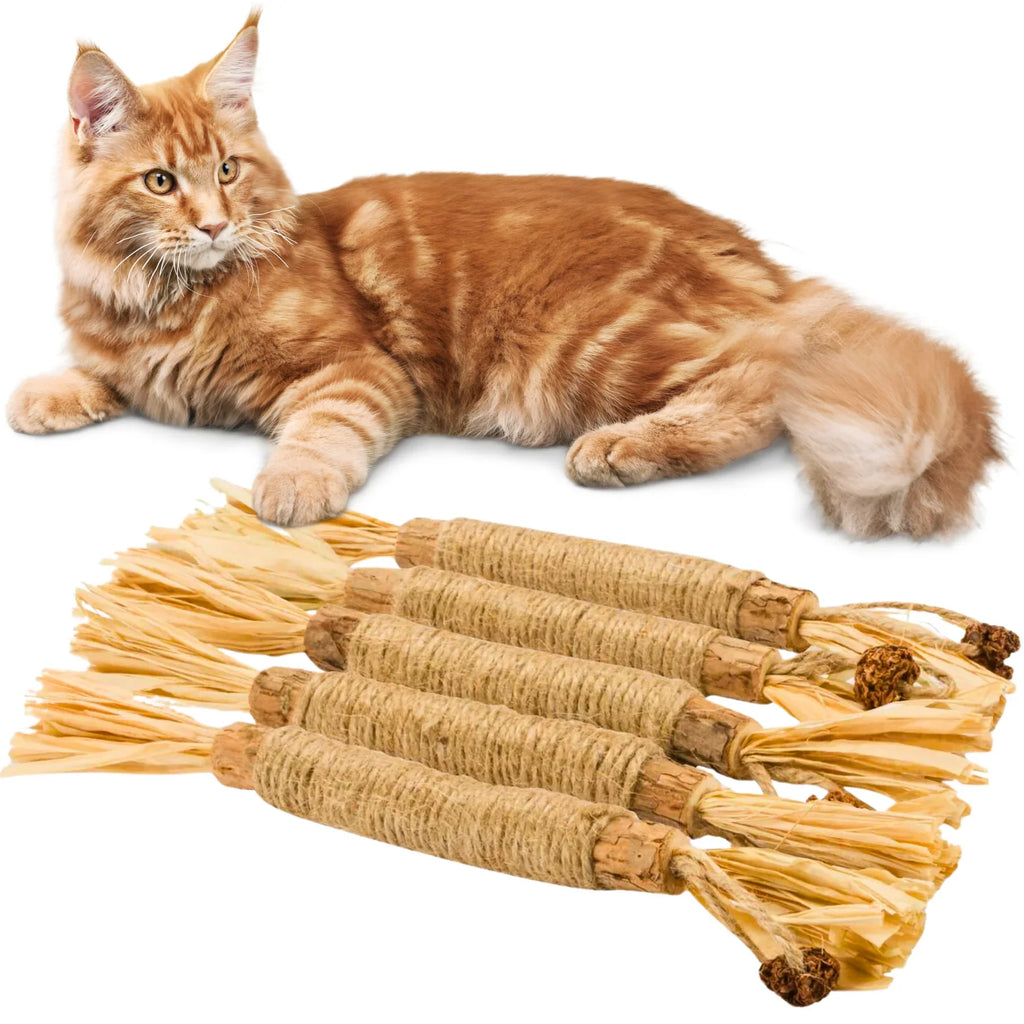 Silvervine chew sticks supporting cat dental health