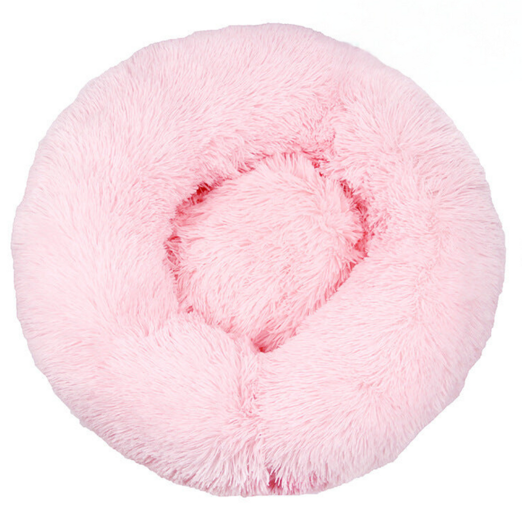 Cat sleeping in the fluffy cloud bed