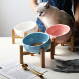 Ergonomic raised pet bowl with wooden stand