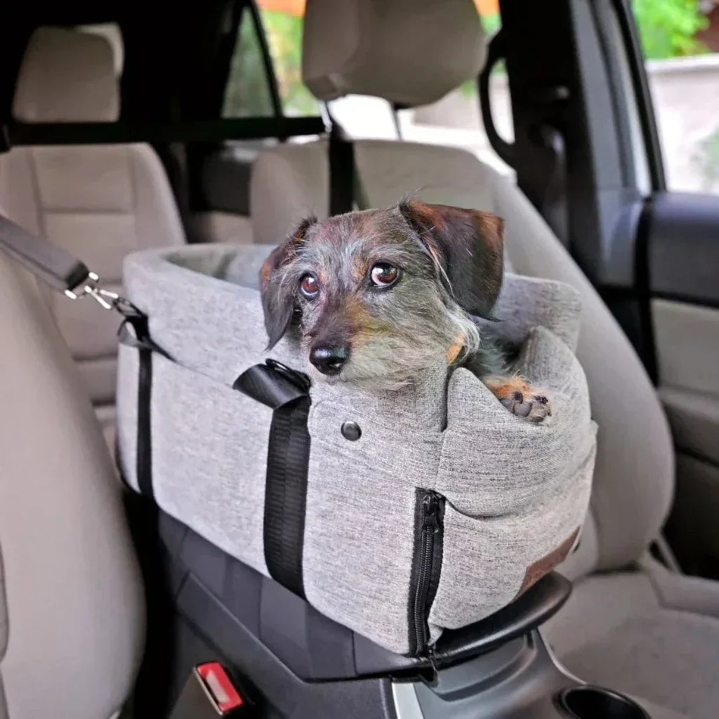 PawJourney elevated pet car seat for small dogs