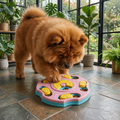 Interactive food puzzle for dogs