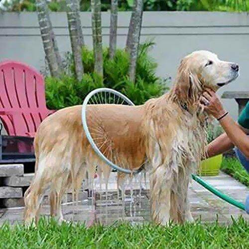 PawsClean 360 degree dog shower system