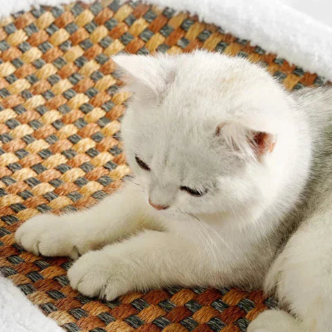 Cat resting in the PurrSpot scratcher bed