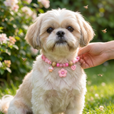 Cute insect-repellent collar for dogs