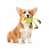 Tough dog toy with plush head and squeaker