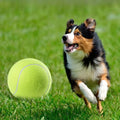 Giant 24 cm tennis ball for dogs