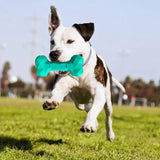 Durable interactive dog chew bone