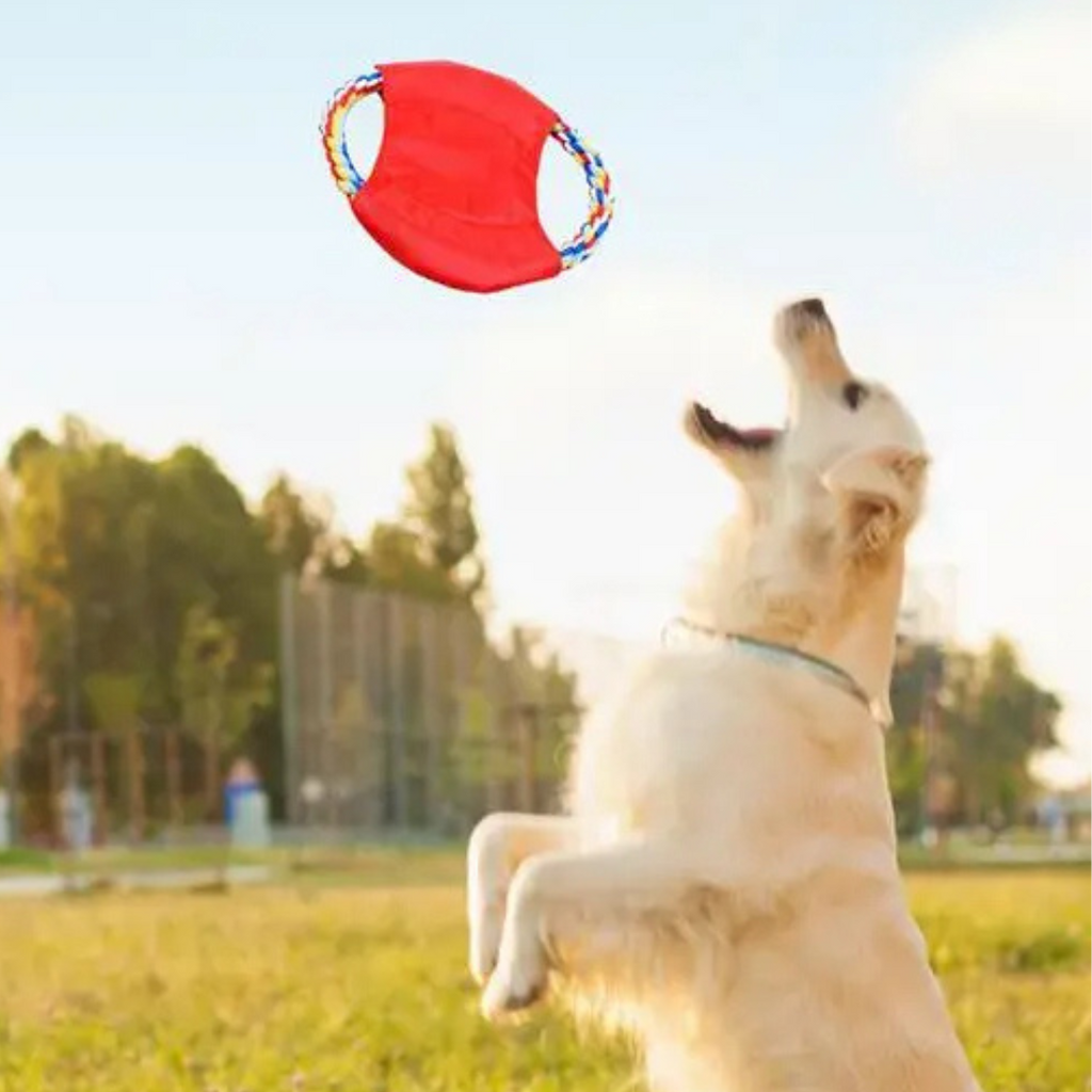Durable knotted rope dog toy set