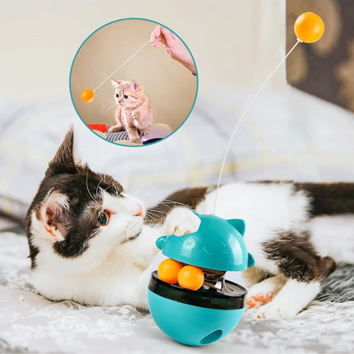Cat playing with the wobble toy