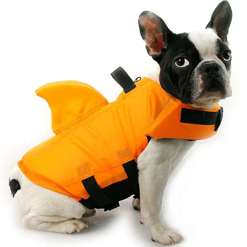 FloatBuddy dog life jacket with rescue handle