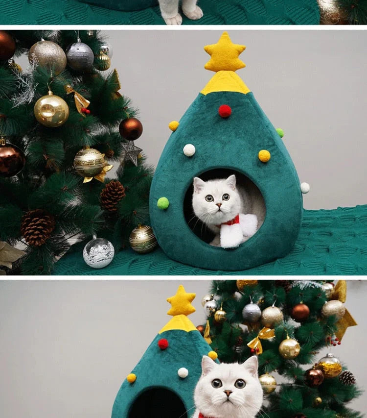 Cat sitting in the Christmas tree cat bed