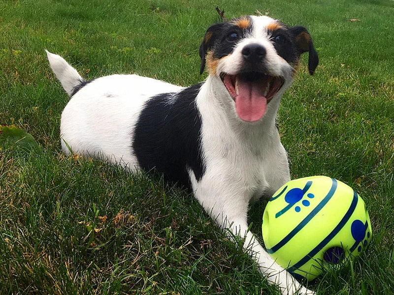 Interactive giggle ball dog toy