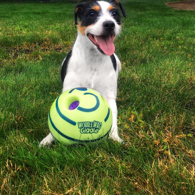 Dog playing with the interactive giggle ball