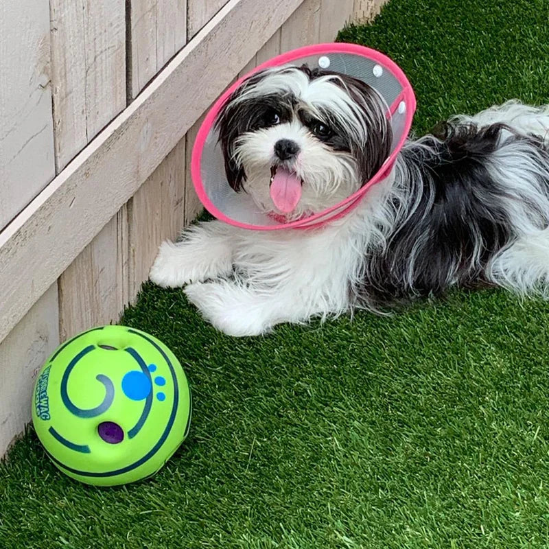 Interactive giggle ball for dogs
