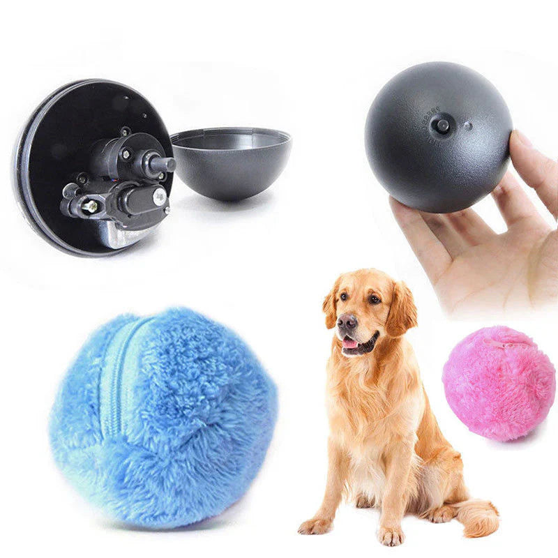 Dog playing with the RollFun self-rolling ball