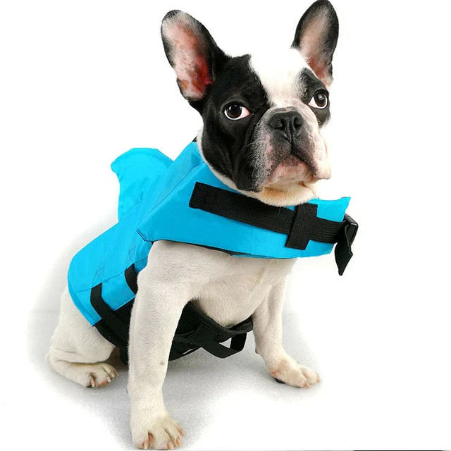 FloatBuddy dog life jacket in blue