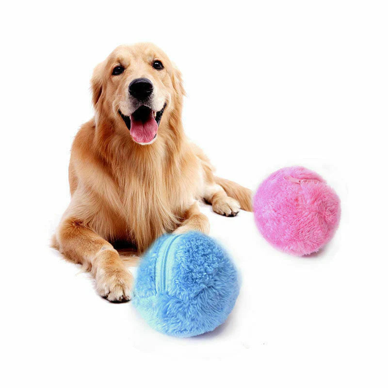 RollFun self-rolling dog ball