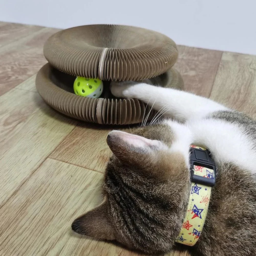 PlayPaw cat toy dimensions of 24 x 24 x 10 cm