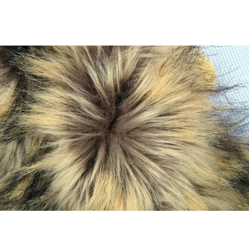 Cat wearing the plush lion mane
