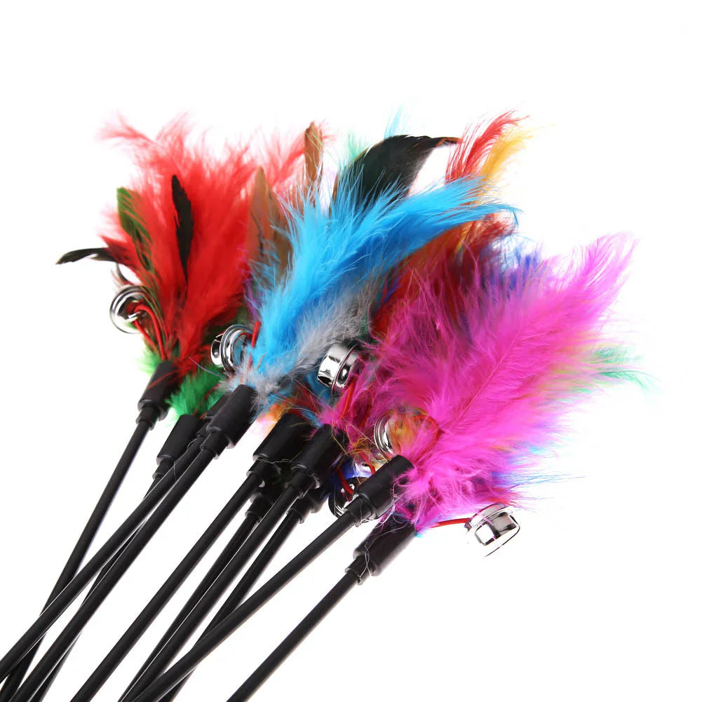 Cat playing with a feather wand toy