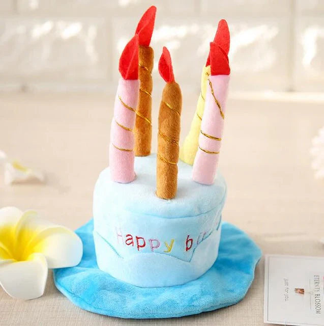 Pet birthday hat in blue