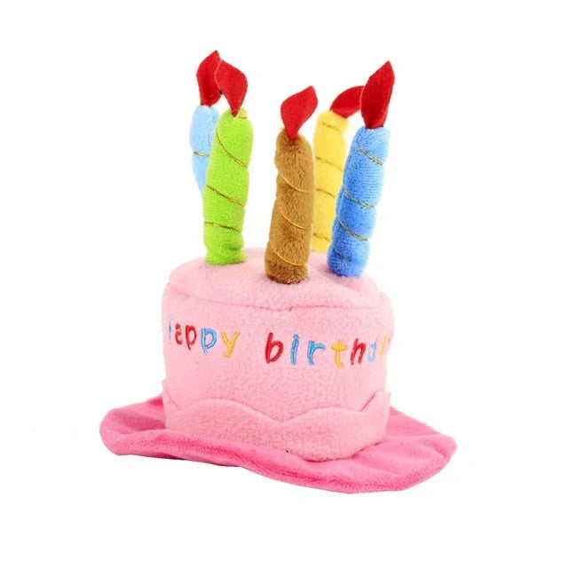 Cat wearing the pet birthday hat