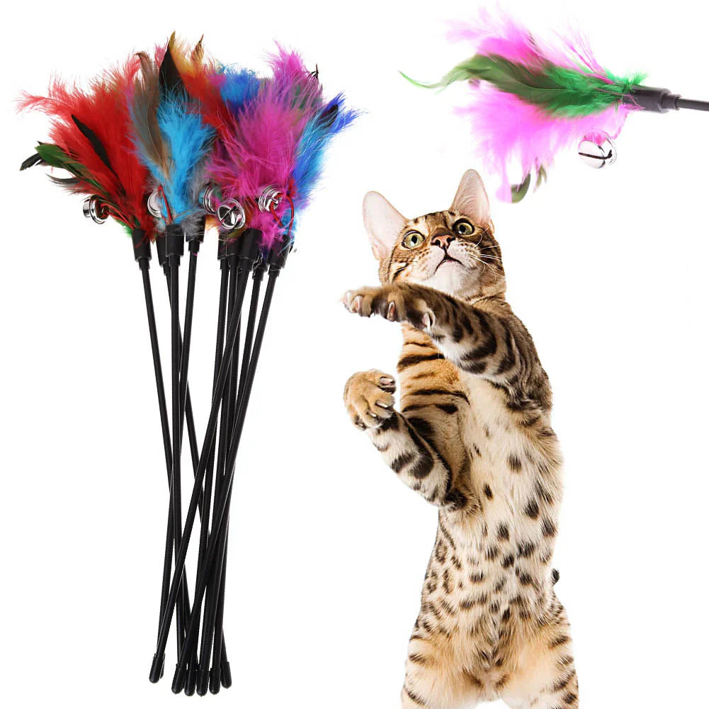 FeatherChase cat wand toys 5 pack
