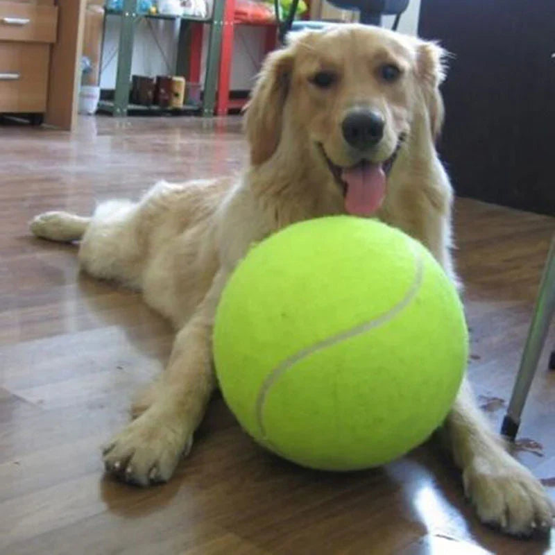 MegaFetch XXL tennis ball for large dogs