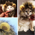 Lion mane costume for cats