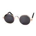 Cat wearing novelty sunglasses in black