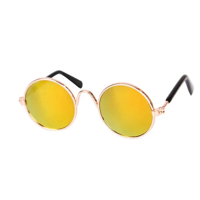 Novelty pet sunglasses in rainbow