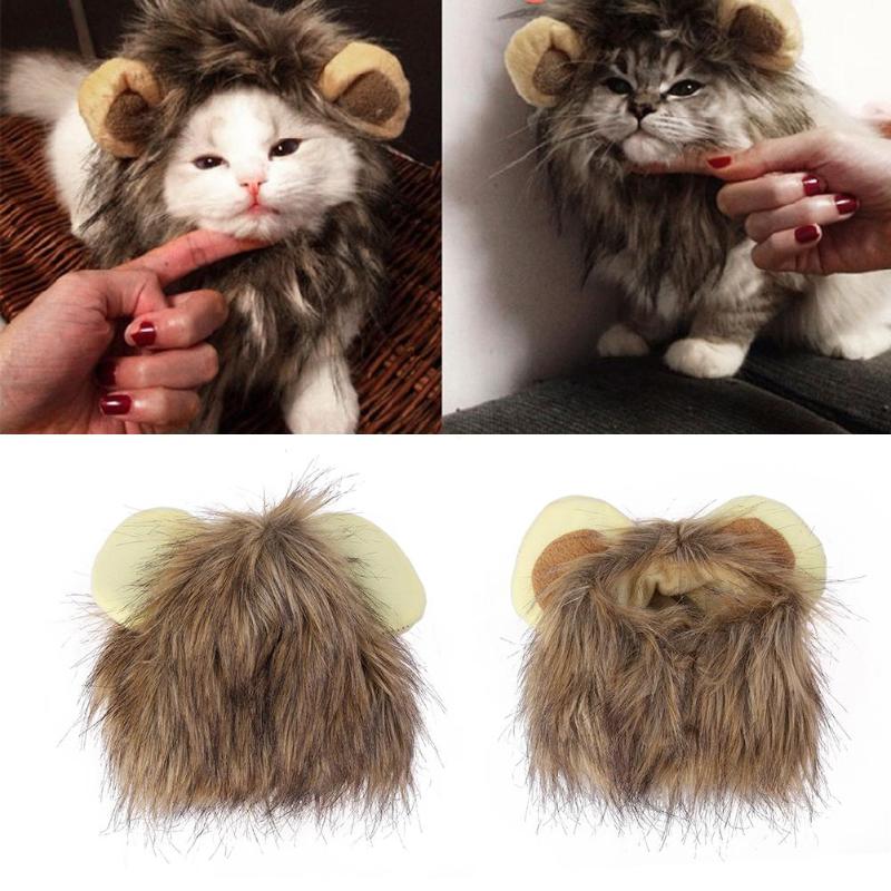 Cat dressed as a lion in the mane costume