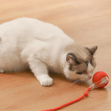Interactive ball with tail for cats