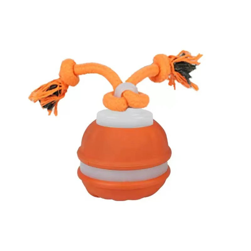 Sturdy dog play ball with motion sensor and tug rope