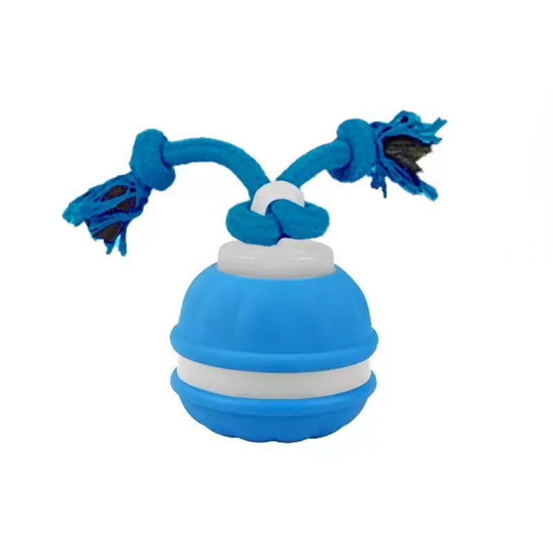 Sturdy dog play ball with motion sensor and tug rope