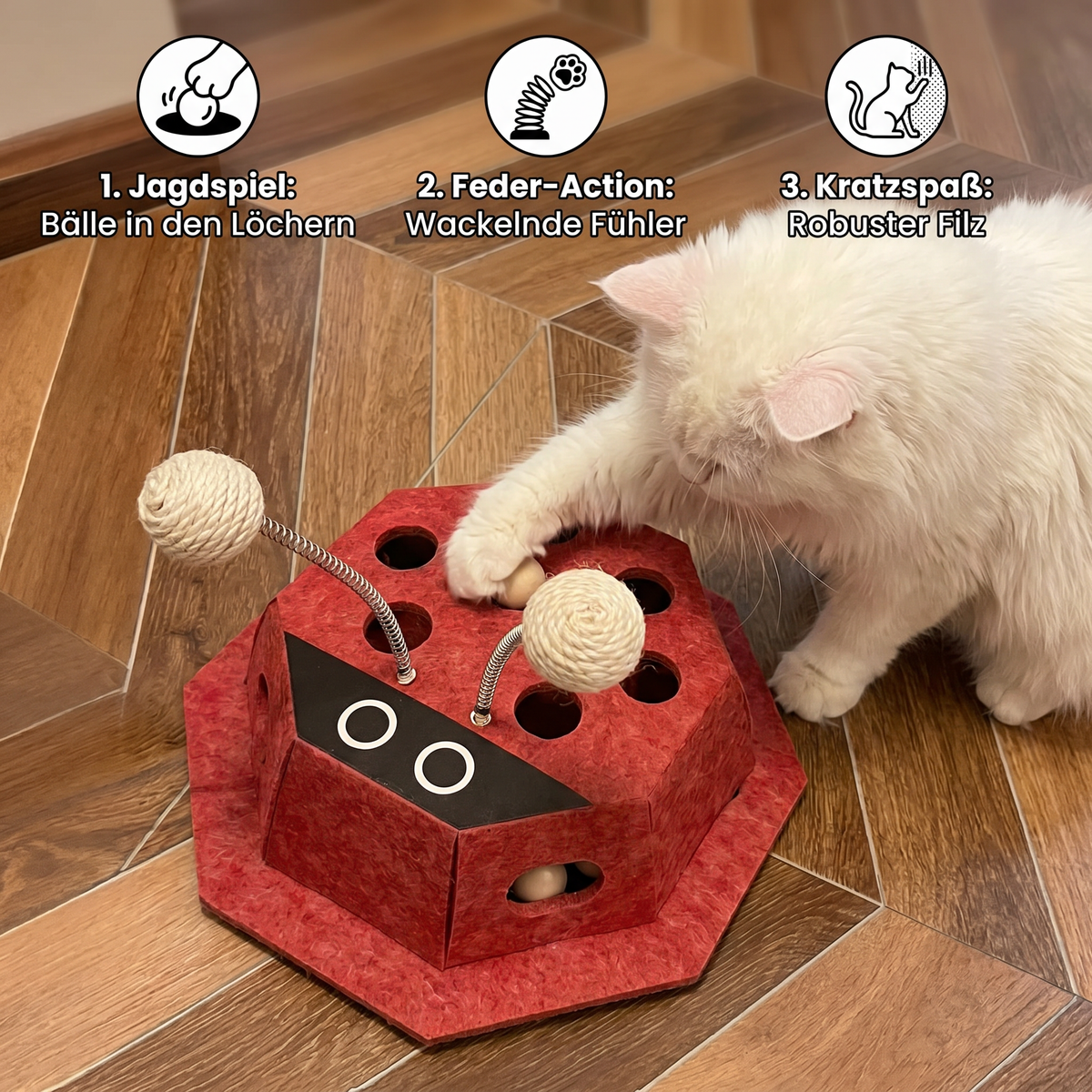 3-in-1 ladybird puzzle toy for cats
