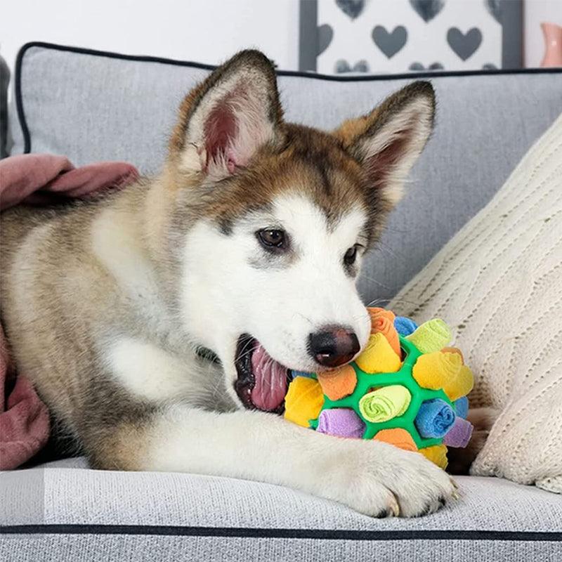 WoofWonder interactive snuffle toy for dogs and cats