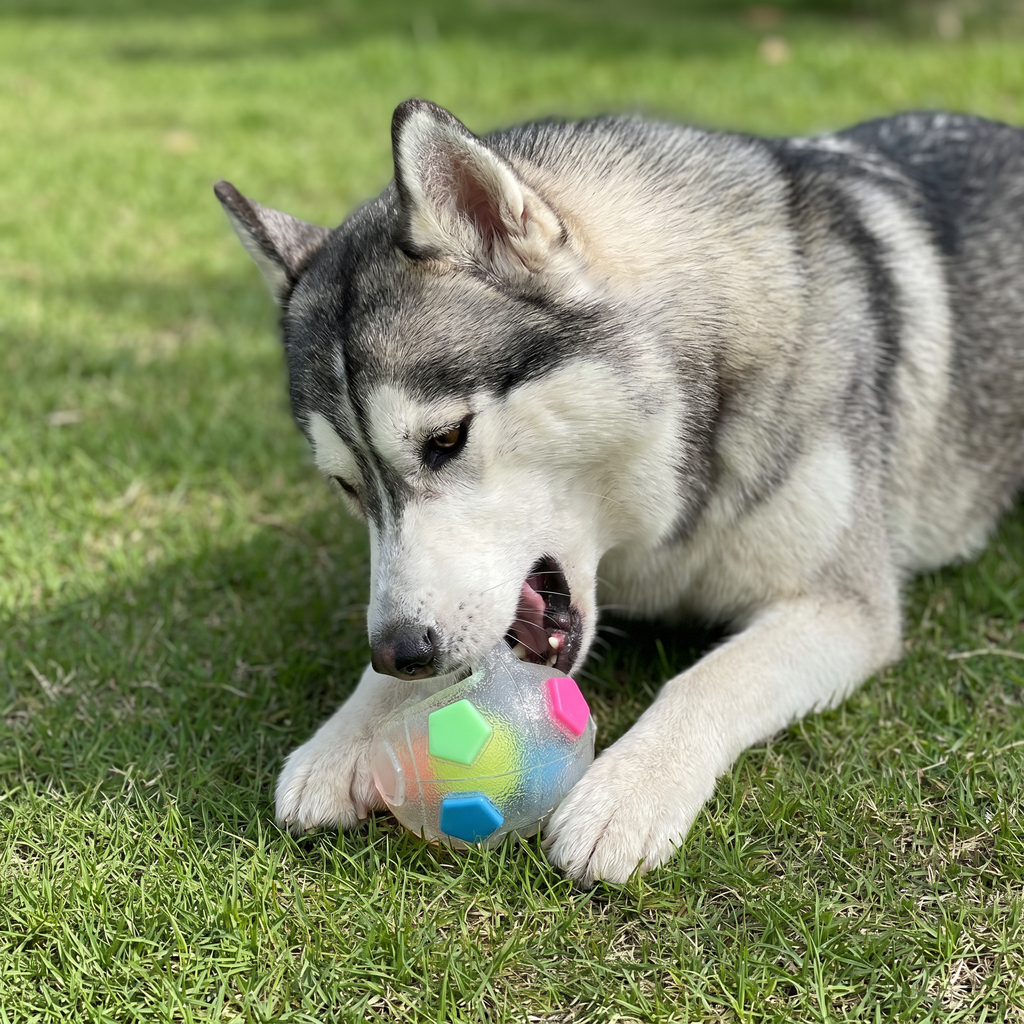 Sturdy stress-relief play ball for dogs