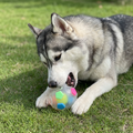 Sturdy stress-relief play ball for dogs