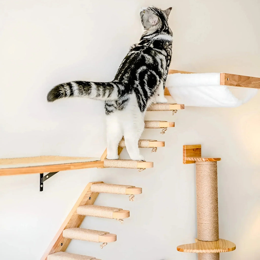 ClimbBuddy cat wall shelf with scratching post