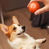 Interactive self-bouncing ball for dogs