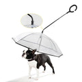 Transparent dog umbrella keeping a dog dry