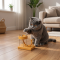 Ball track cat toy with rolling balls