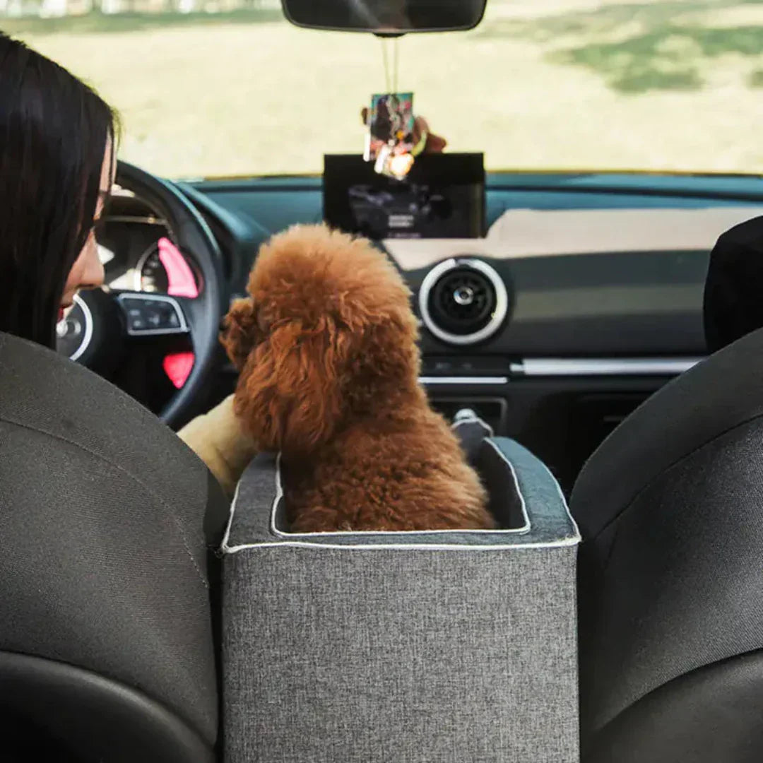 Small dog sitting in the PawJourney car seat